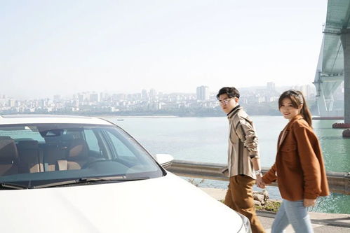 小镇青年张玖零的“催婚弹”智能交通图