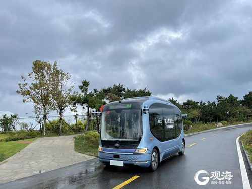 乘坐自动驾驶公交车是什么体验？这20人在青岛尝鲜智能交通